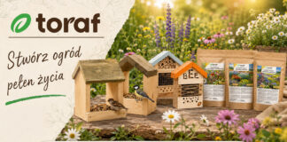 Nowoczesny ogród przyjazny naturze – karmniki, domki dla owadów i łąka kwietna ciekawe-produktu-do-ogrodu-producent-toraf