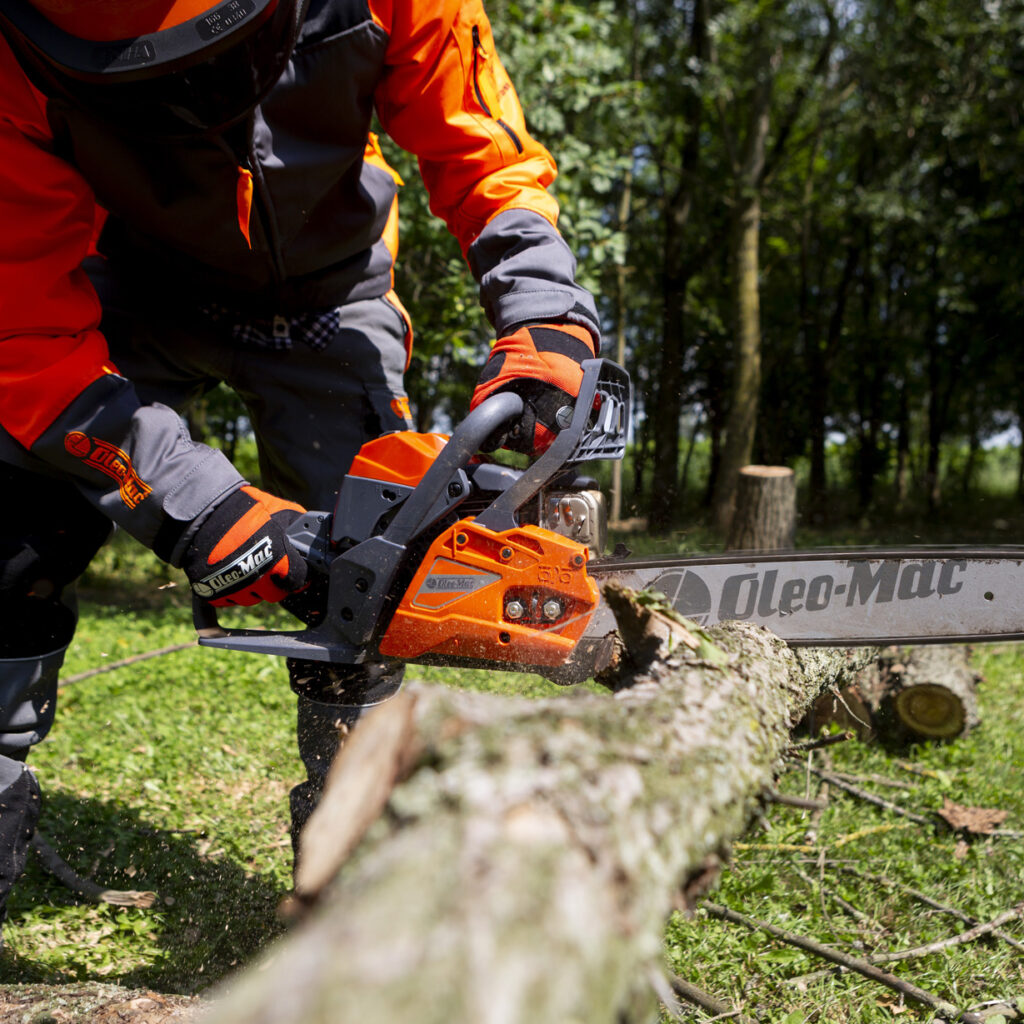 MTS_OM_Lavoro_264_GS451