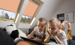 Zdjęcie 1 Roleta ARF www