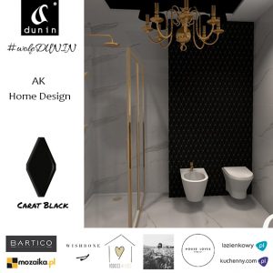 #woleDUNIN 2018 AK Home Design