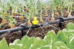 Rain System Spray Nozzle