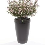 Parrot Pot. Inteligentna doniczka podleje kwiaty za Ciebie!